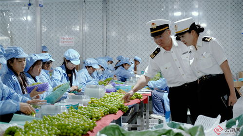 大理州2023年外貿(mào)進(jìn)出口總值大幅增長(zhǎng)78.8%，農(nóng)產(chǎn)品出口表現(xiàn)亮眼