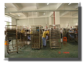 福建漳州食品廠的技術(shù)開發(fā)現(xiàn)狀與前景探析