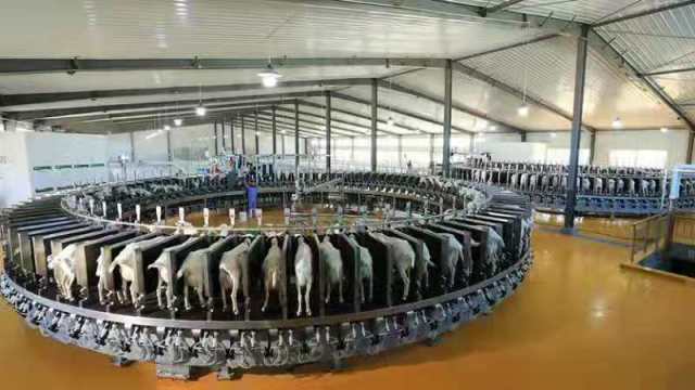 一花引來(lái)百花香 和林格爾縣技術(shù)開發(fā)引領(lǐng)產(chǎn)業(yè)融合發(fā)展